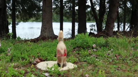 Coca-Cola and mentos experiment. Video stock 246601143