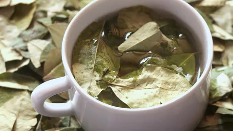 Coca tea with fresh coca leaves and hot water. South America. Stock Footage 297898642