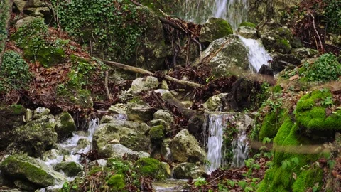 The Coccavone stream flows among the fallen leaves of maple and beech trees. Stock Footage 145021918