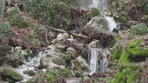 The Coccavone stream flows among the fallen leaves of maple and beech trees. Stock Footage 146724586