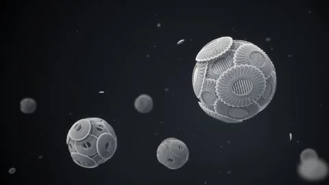 Coccolithophore Plankton Spheres Microscope View Seamless Loop 스톡 동영상 347071476