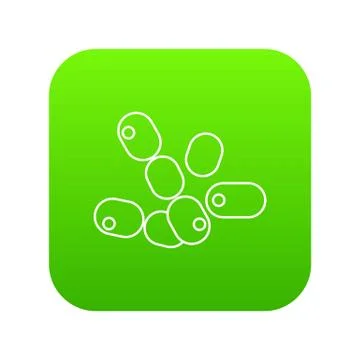 Coccus bacilli icon green vector Illustrazione stock