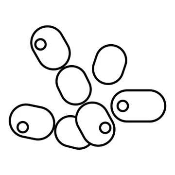 Coccus bacilli icon , outline style Illustrazione stock