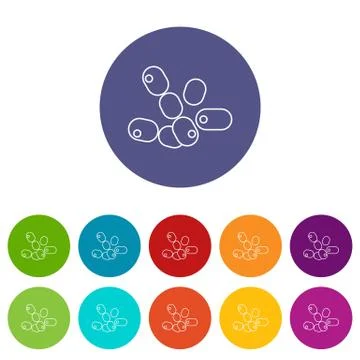 Coccus bacilli icons set color Illustrazione stock