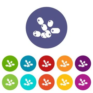 Coccus bacilli icons set vector color Illustrazione stock
