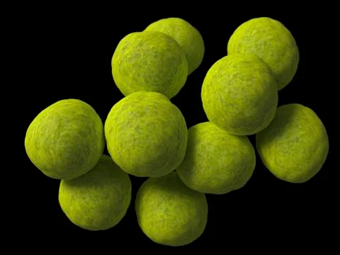 Coccus bacteria, artwork Illustrazione stock