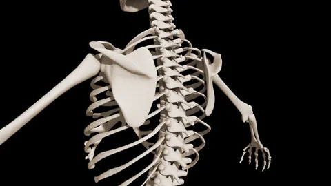 Coccydynia 스톡 동영상 121317069