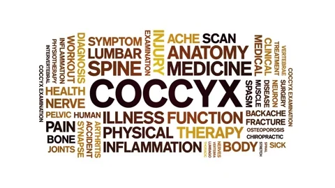 Coccyx animated word cloud,animation tag kinetic typography seamless loop. Stock Footage 289606708