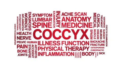 Coccyx animated word cloud,animation tag kinetic typography seamless loop. Stock Footage 289606830