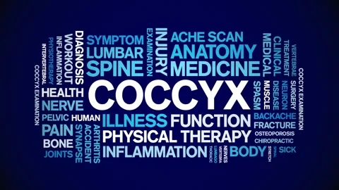 Coccyx animated word cloud,animation tag kinetic typography seamless loop. Stock Footage 289607016