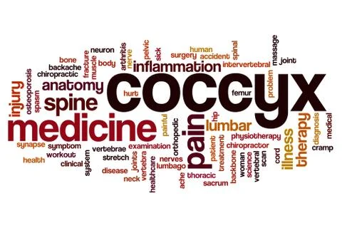 Coccyx word cloud Stock Illustration
