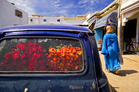 Coche lleno de rosas.Essaouira (mogador). Costa Atlantica. Marruecos. Magreb. Stock Photos