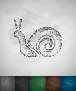 Cochlea icon. Hand drawn vector illustration 스톡 일러스트
