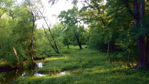 Cochran Shoals CS18shot Stock Footage 244603814