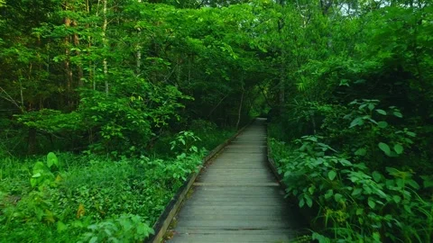 Cochran Shoals CS21shot 動画素材 244603811