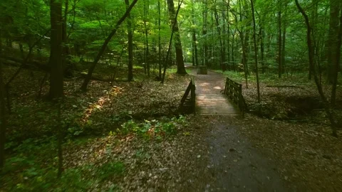 Cochran Shoals CS31shot Stock Footage 244603813