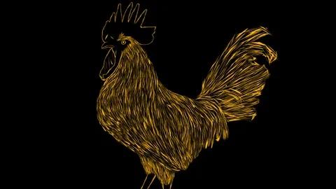 Cock 2d animation Stock Footage 169685716