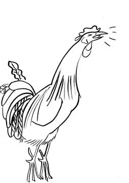 Cock Stock Illustration
