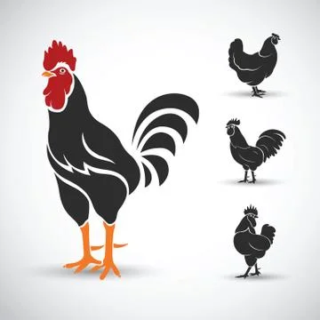 Cock Stock Illustration