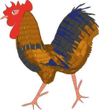 Cock 스톡 일러스트