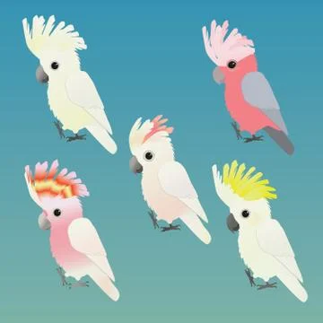 Cockatoo collection Illustrazione stock