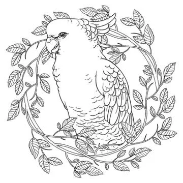 Cockatoo design Illustrazione stock