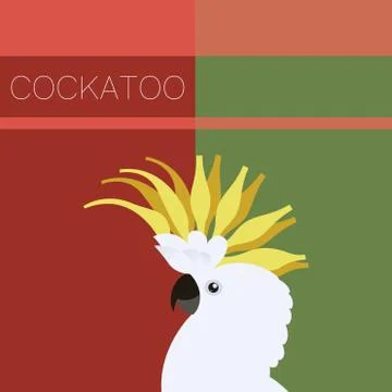 Cockatoo flat postcard Stock Illustration