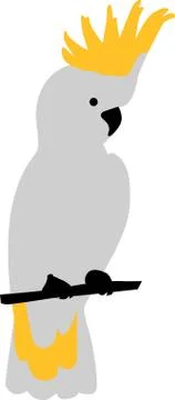 Cockatoo イラスト素材