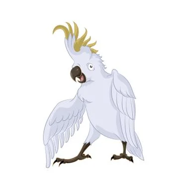 Cockatoo, Stock Illustration