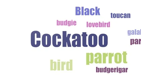 Cockatoo Tag Cloud Animated Isolated On White Stock Footage 103655946
