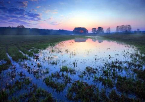 COCKCROW Stock Photos