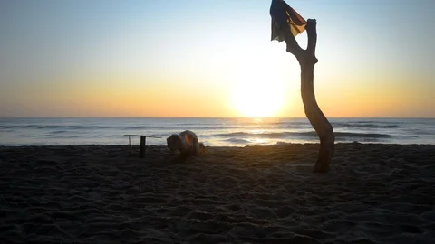 Cocker Spaniel dog digging a hole in the sand at sunrise Stock Footage 115762105