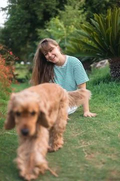 Cocker Spaniel dog having fun and playing with young beautiful woman Stock Photos