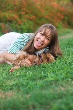 Cocker Spaniel dog having fun and playing with young beautiful woman Foto stock