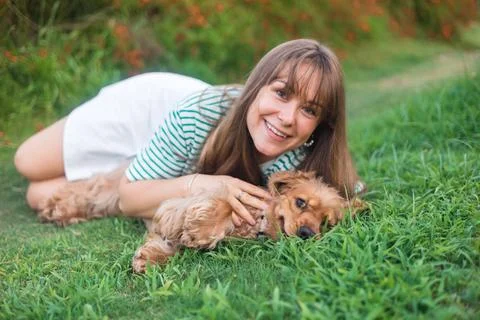 Cocker Spaniel dog having fun and playing with young beautiful woman Stock Photos