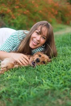 Cocker Spaniel dog having fun and playing with young beautiful woman Stock Photos
