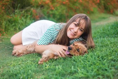 Cocker Spaniel dog having fun and playing with young beautiful woman Stock Photos