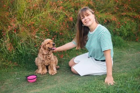 Cocker Spaniel dog having fun and playing with young beautiful woman Stock Photos