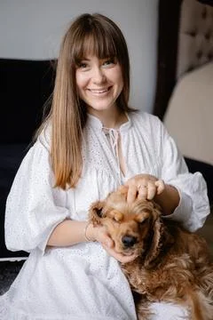 Cocker spaniel dog playing and cuddling with his female owner on the floor at Stock Photos