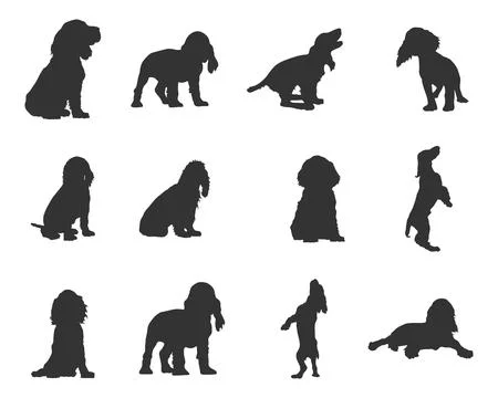 Cocker Spaniel dog silhouettes, Cocker spaniel silhouette Stock Illustration