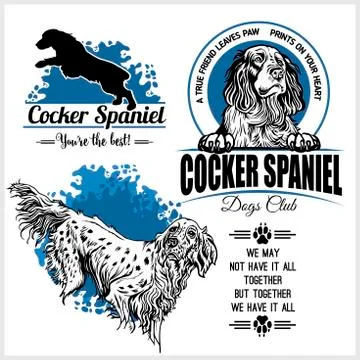 Cocker Spaniel dog - vector set for t-shirt, logo and template badges Stock Illustration