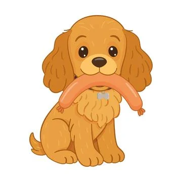 Cocker spaniel sitting with sausage in its mouth. Colorful flat style vecto.. Stock Illustration