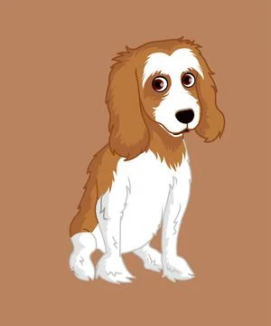 Cocker spaniel vector illustration Stock Illustration
