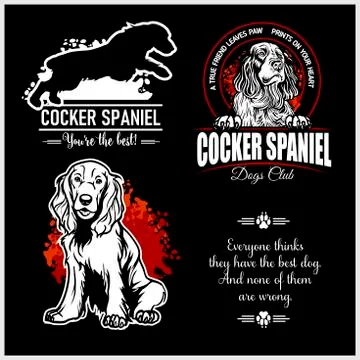Cocker Spaniel - vector set for t-shirt, logo and template badges Stock Illustration