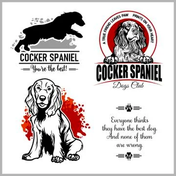 Cocker Spaniel - vector set for t-shirt, logo and template badges Stock Illustration