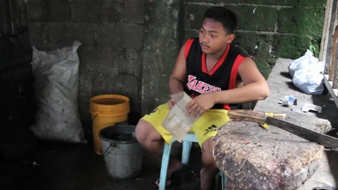 Cockfighting Stock Footage 106457118