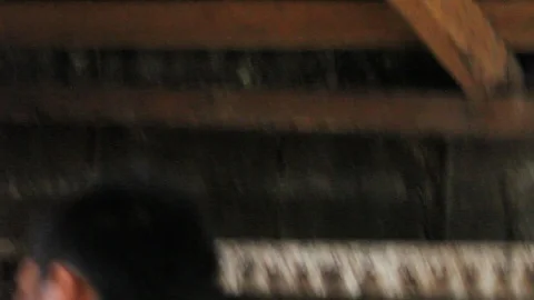 Cockfighting Stock Footage 106457718