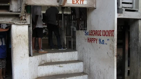 Cockfighting Video stock 106457751