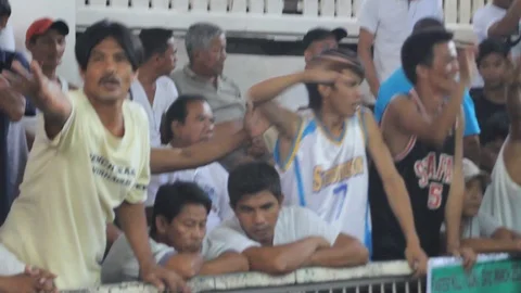 Cockfighting Stock Footage 106458120