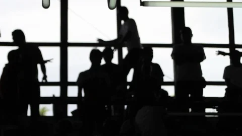 Cockfighting Stock Footage 106458258